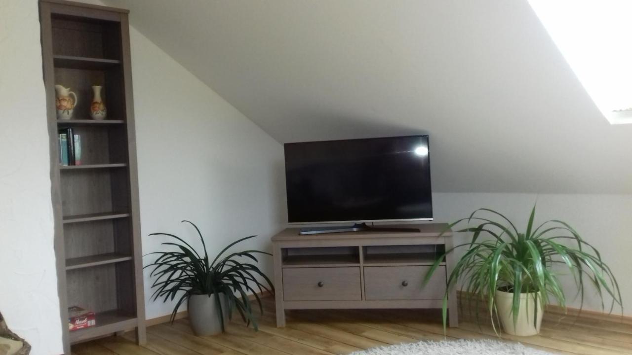 Appartement Haus Am Park à Thallwitz Extérieur photo